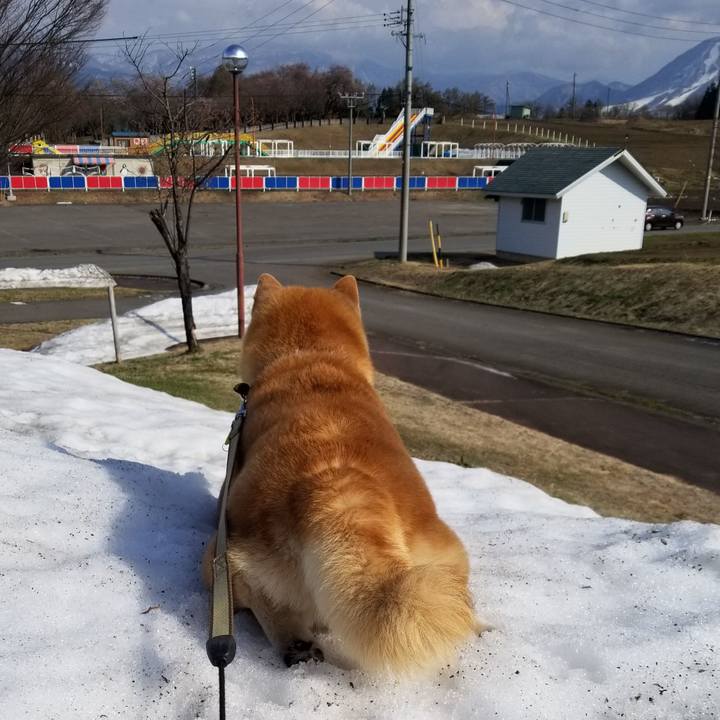 4cce09e5 ffe8 4cc1 83d3 2d88b0b24f9c 1649831608070