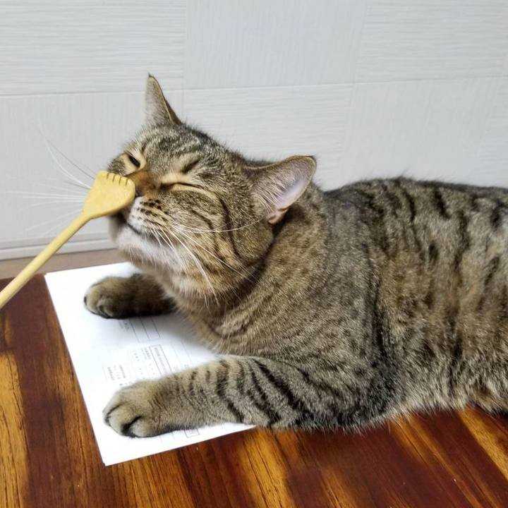 4cce2e7a 137d 4266 868e 1eeb279d92b2 1566799458938