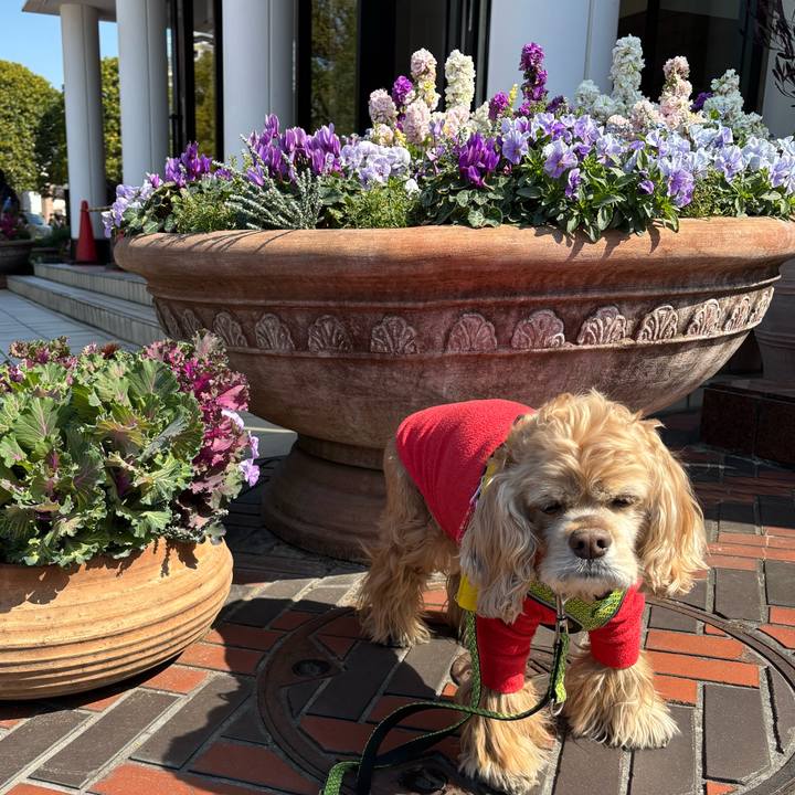 4cce3609 dda8 4713 8b8e 3be995e19a57 1773067883414