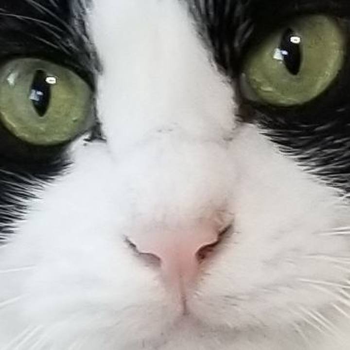 4cce3932 6dc4 4fa5 9138 e2e2727d5379 1576272614532