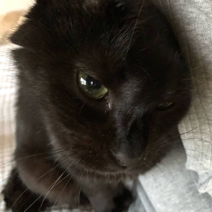 4cce89fe 479e 461c 96cb 077a0dddb3fe 1591351267836