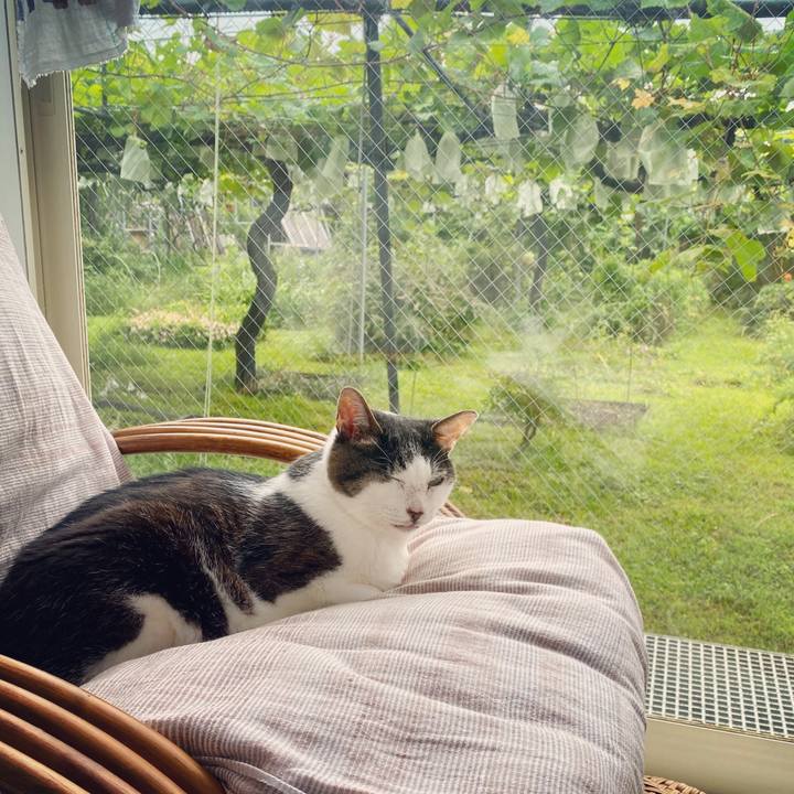 4cce8de3 6d93 4674 9826 a580919c6dcc 1594350854879