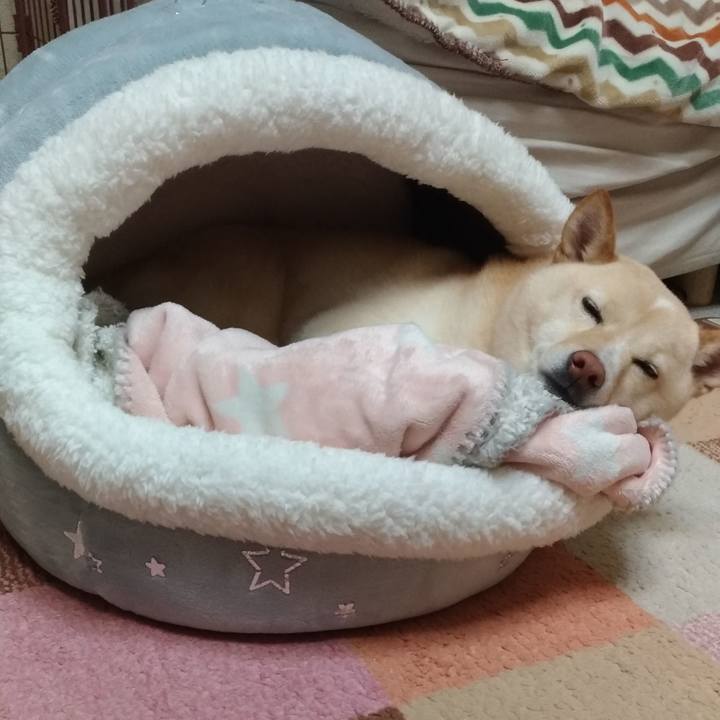 4ccebd70 fc6a 4598 b12a e718bcd75a6c 1578572683847