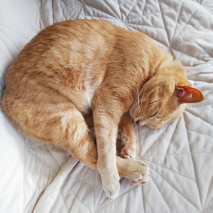 4ccf057c 05f9 4954 8d44 b7a98dfb1014 1632089746762