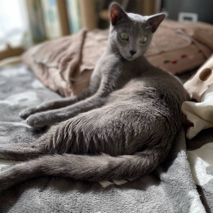 4ccf2921 87c2 4de5 b102 7fb9732083f2 1643597511726