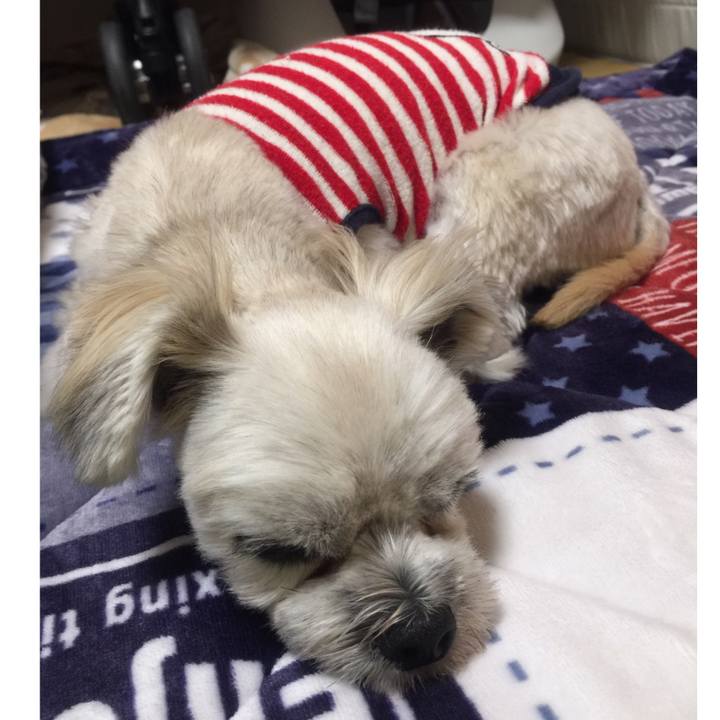 4ccf9189 2270 490d b5ae 90548fbb1e2b 1543754967031