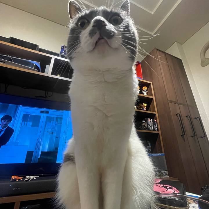 4ccfb6a1 4070 4216 8dae 3621f335db2b 1697803538191