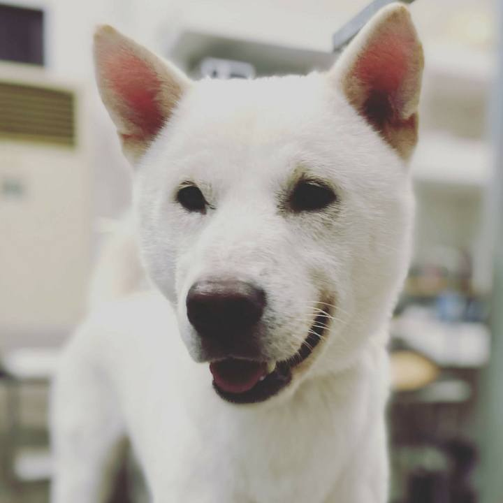 4ccfd03c e3f6 4788 8cde 6c6013d26b11 1605958734872