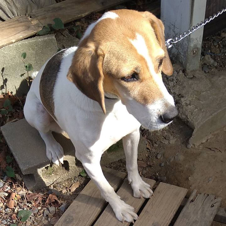 4ccfd269 7846 4406 98ab 8573023bf362 1638084024325