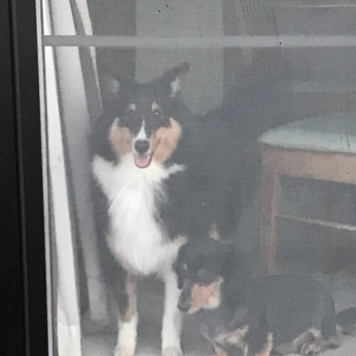 4ccfe94d e4a4 4766 8c19 604568c21c14 1532295746469