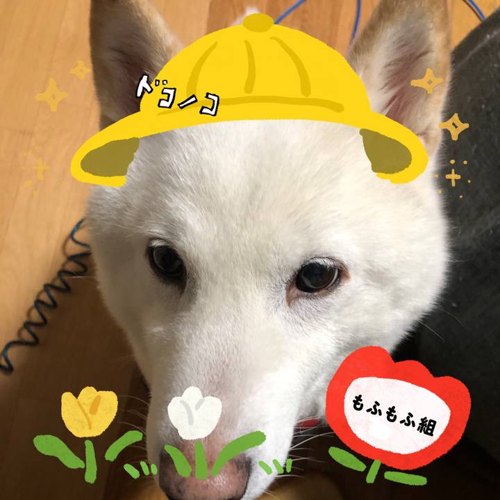 4ccff046 7eb8 41cc be61 6b652cdb40ee 1712459235762