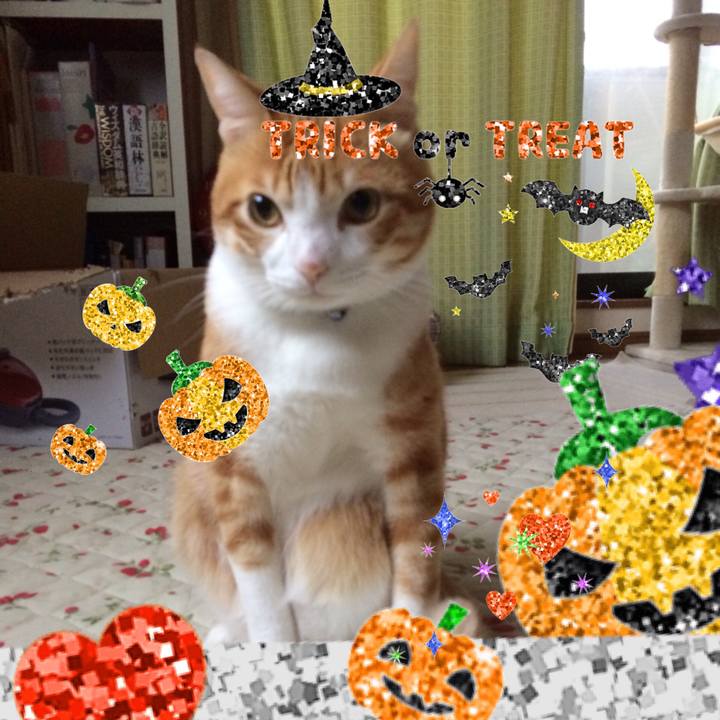 4cd033b5 96d6 479e 8516 c3de769f0884 1509195021149