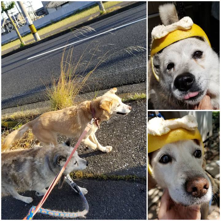 4cd040d3 76b5 456d 8704 39a42947f9a9 1751275308702