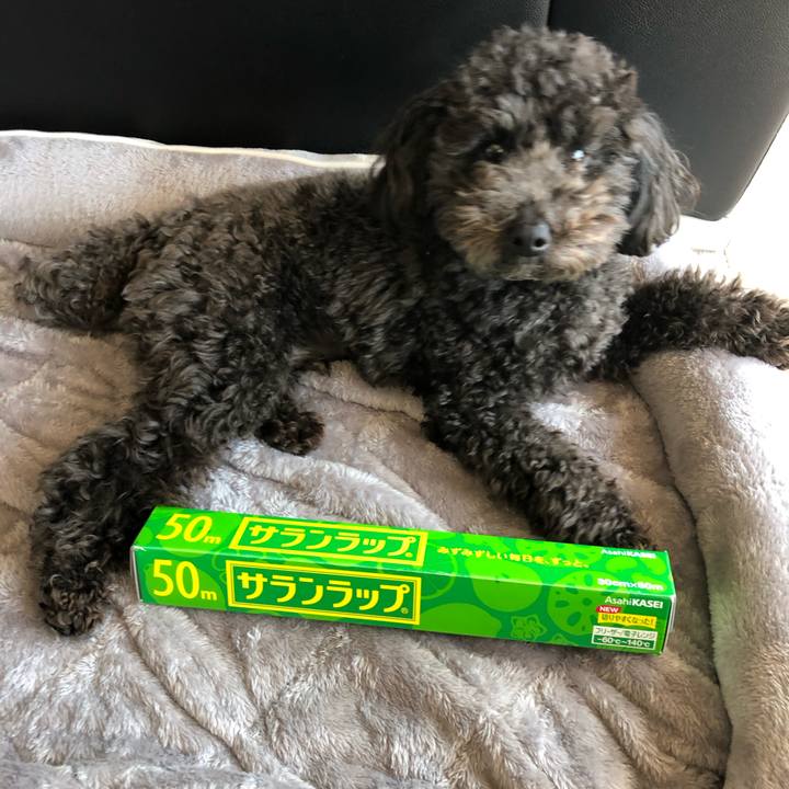 4cd08adb 9719 4b96 b91c 9e60b119377f 1585019325896