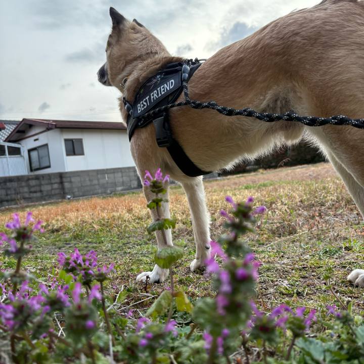 4cd0b34a 9688 4ce4 b71b 2c38f794aede 1741264608677