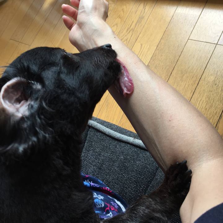 4cd0c514 19d5 404d a441 f35a4db9a0d1 1530139526797