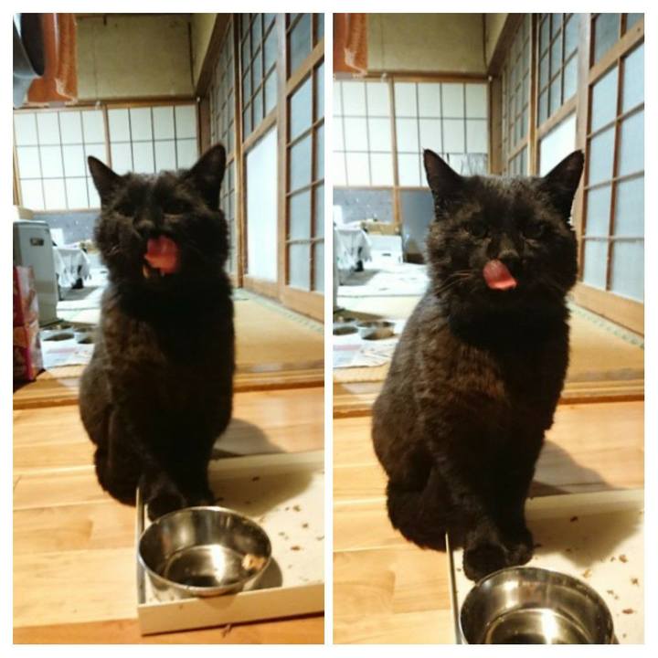 4cd0cc5d c3ee 4d11 b309 3eb365417fb7 1620132384241