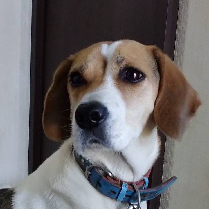 4cd0d449 c668 4f10 8e0f 0149718fa05b 1604986808737