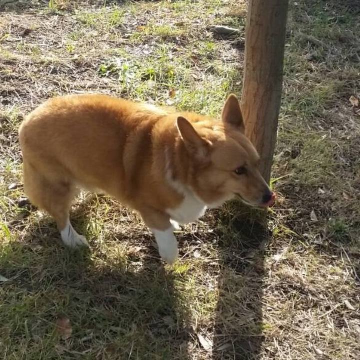 4cd0f57d 8181 4a68 9f33 cf78c5561171 1508130961621