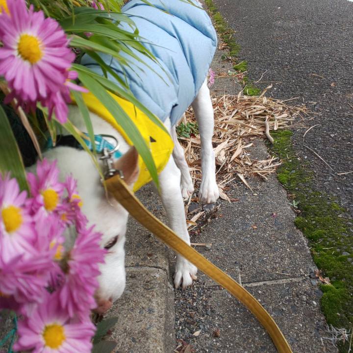 4cd12311 3b4c 4004 bdbf 11ea8cf7b990 1543554967705