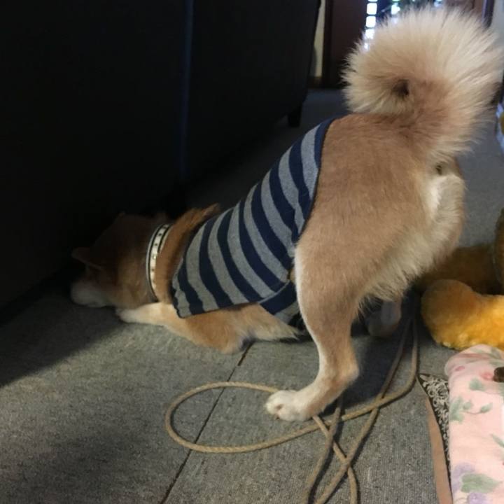 4cd14850 02f3 4180 9af2 314b7b2d6bca 1513761621394