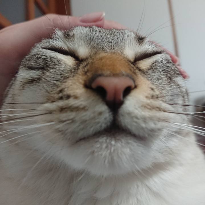 4cd149ea a531 451c 9b74 5e2a3fc5c8aa 1559563029292