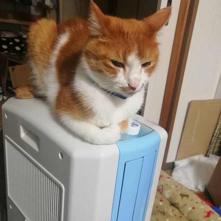 4cd150c2 5f09 4a64 a292 103b389aa5a1 1622634621221