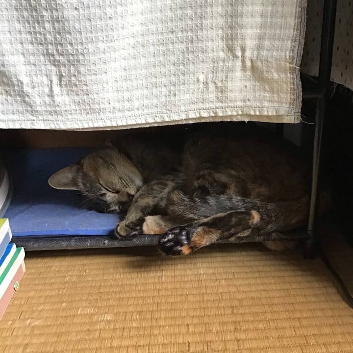 4cd16177 d07d 4e07 ae00 ef7c4aebdfd9 1590396839730