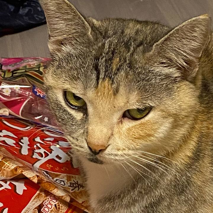 4cd171fe ee2a 4ae9 bf0e 17b73b049ed1 1614675553721