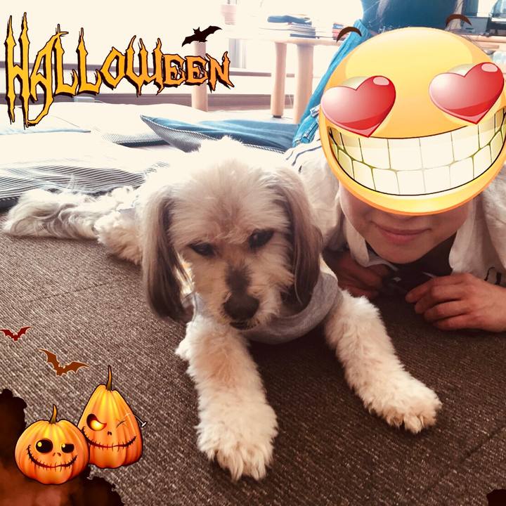 4cd19051 e43e 4ad9 ba1b 3300ec137903 1539152684987