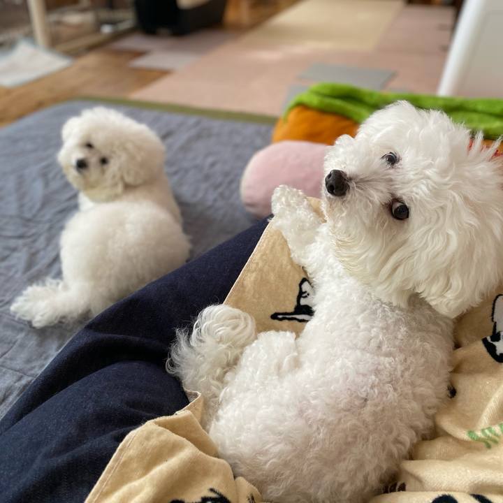 4cd1e88b 7c8e 425b 87d3 a20ba3f94c8c 1652225302190