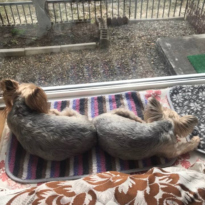 4cd21335 a869 4c94 abcb e01cf1cd0599 1586770277122