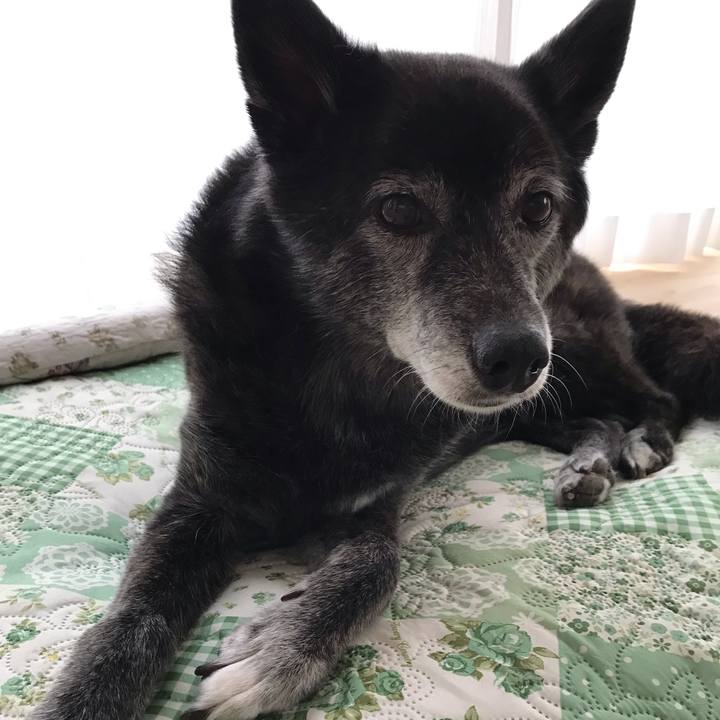 4cd23a4d 19f0 4912 8ef9 052913f6bcb5 1633661639569