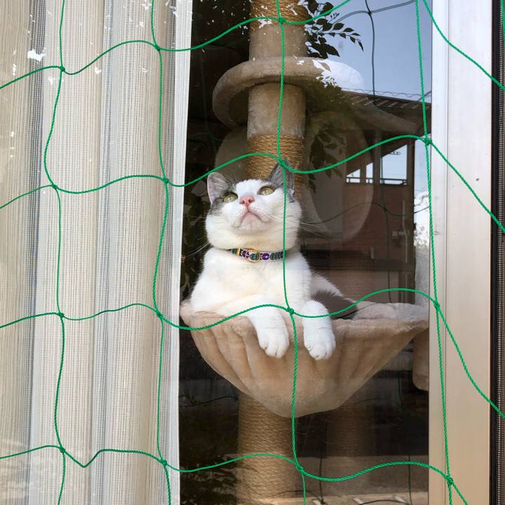 4cd28cb2 15e1 42ae 99eb dd717e275a4e 1685002517617