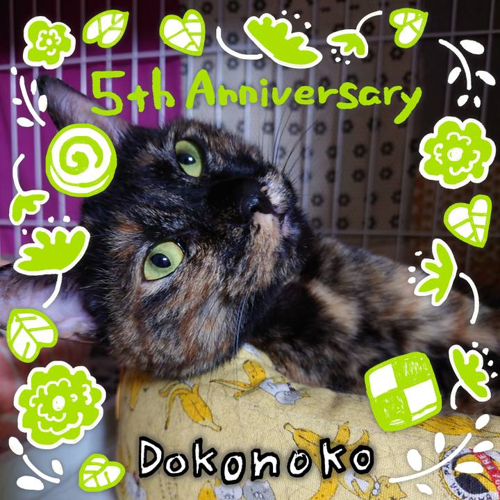 4cd2901e 3d3f 4fff 8079 6358f15cae12 1622989137137