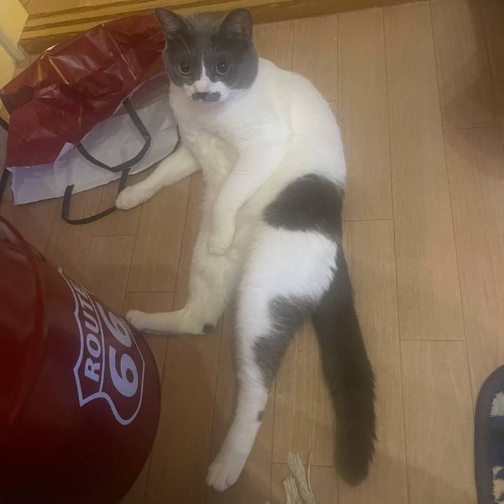 4cd2a97e 2836 4ffd 8023 f3f1e7d69658 1631652107377