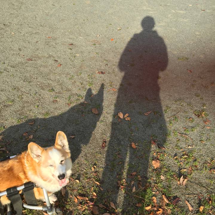 4cd2d3b2 b550 4c35 aa3d 620f0c726c46 1544536185141