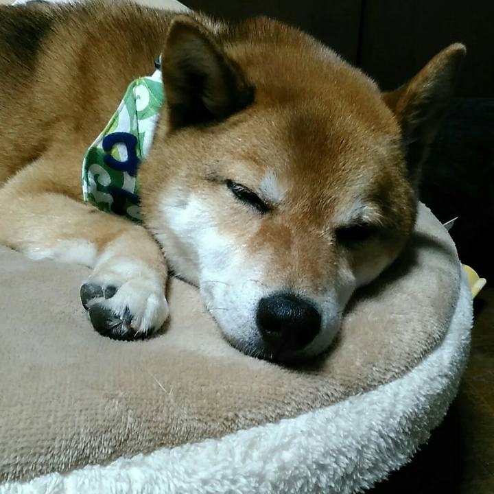 4cd2f050 0e73 42da 9605 f97c6f8dd231 1559228121888