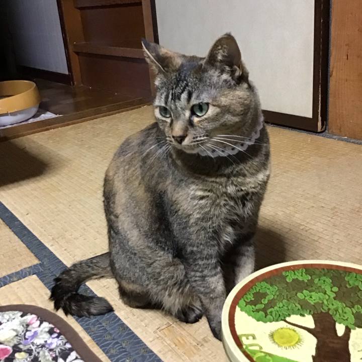 4cd32c40 41da 4ba9 97c1 832f564204b3 1748510892832