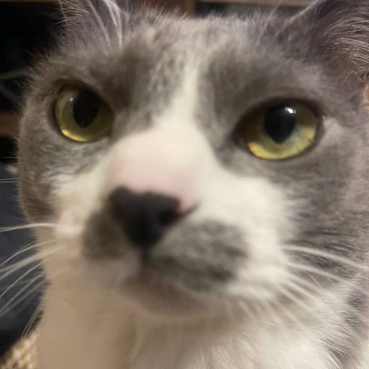 4cd3b780 f0a1 4ebd 85f6 146c9637bc77 1739975853533