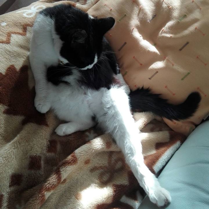 4cd3c202 bdc4 4dbd b73a 85440ae32ed1 1508127165178