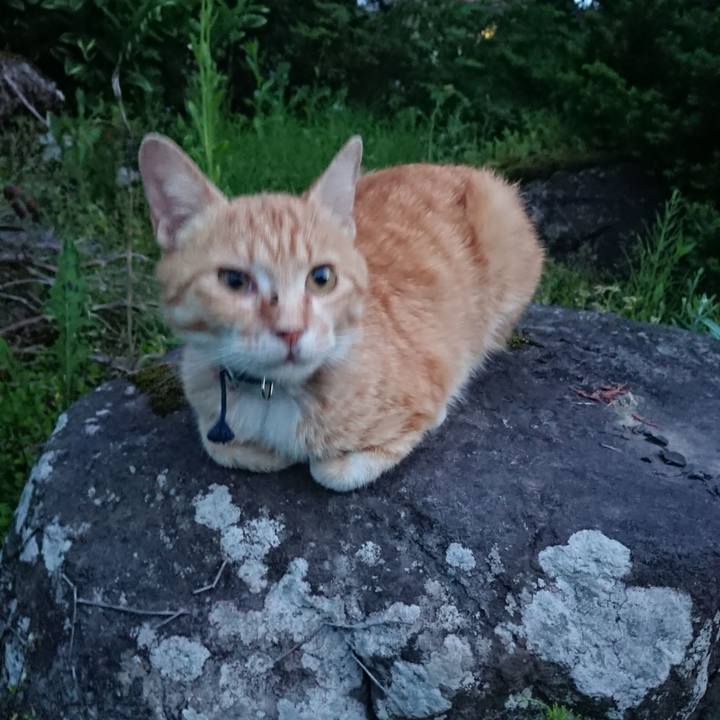 4cd404c8 532c 4204 bd1d 4a28b6fe35c8 1558952172353