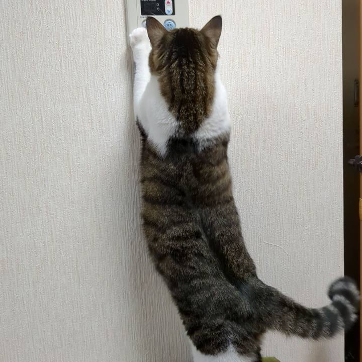 4cd43c01 77fb 4bc6 8491 bba83baa8685 1670750523491