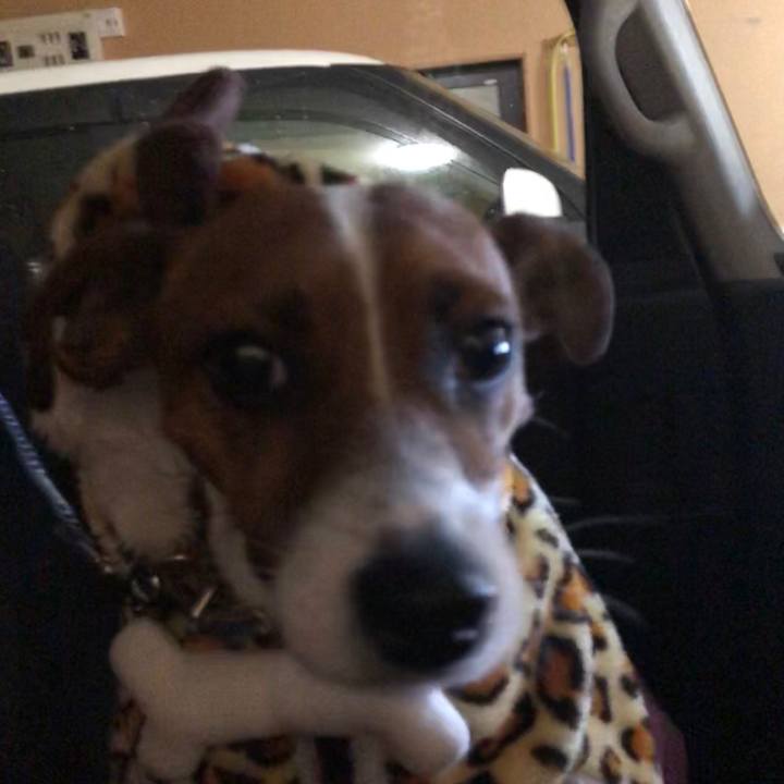 4cd44dbe f188 40ff a587 62333ae7bbb1 1545998772188