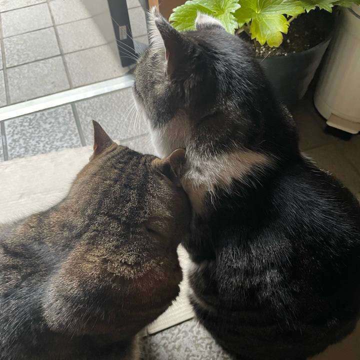 4cd45fe8 e1bb 49fe 8ca7 e33f41fa094a 1644737864758