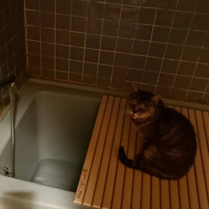 4cd47498 9abc 4548 9310 69101e1ae6f1 1570353315453