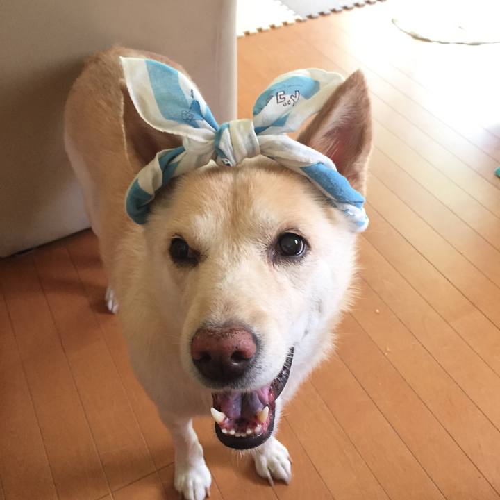 4cd485d3 2554 44e0 bfb5 c38f5e66375d 1533160036612