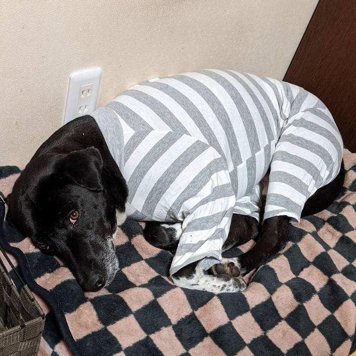 4cd49774 6c31 40d4 a664 6d00ac786b23 1674919619185