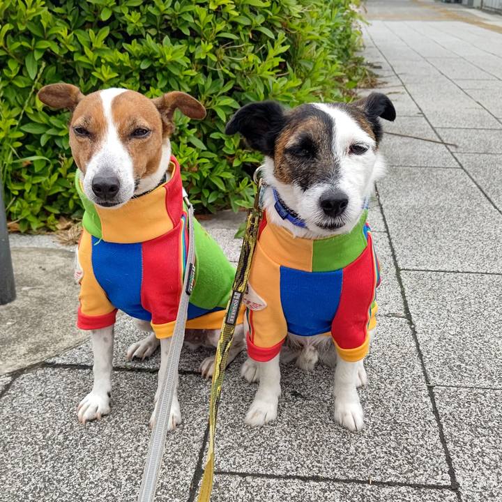 4cd4b2c8 13c0 4c47 a655 474e182fd345 1684022598346