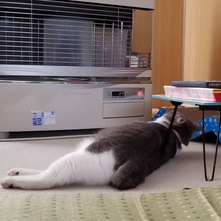 4cd4c772 838c 4a18 b6e8 bfbf8b6e846a 1585210762534